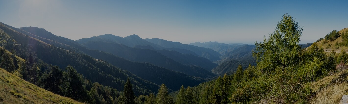 Mountains With Trees