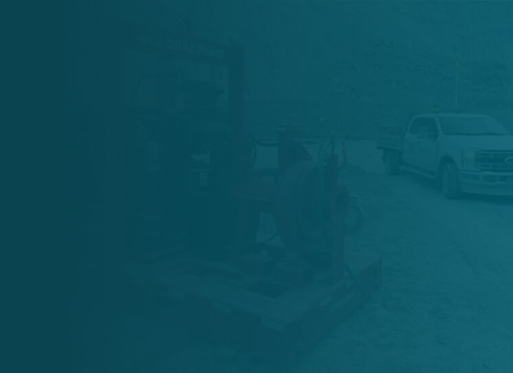 Results impack bg green image