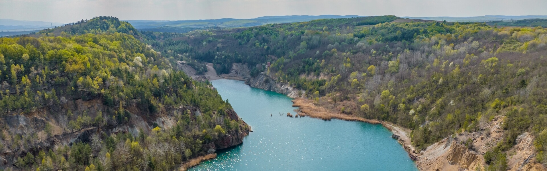 Fleet management banner image