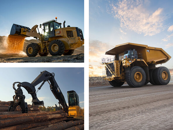 Cat finning intro image