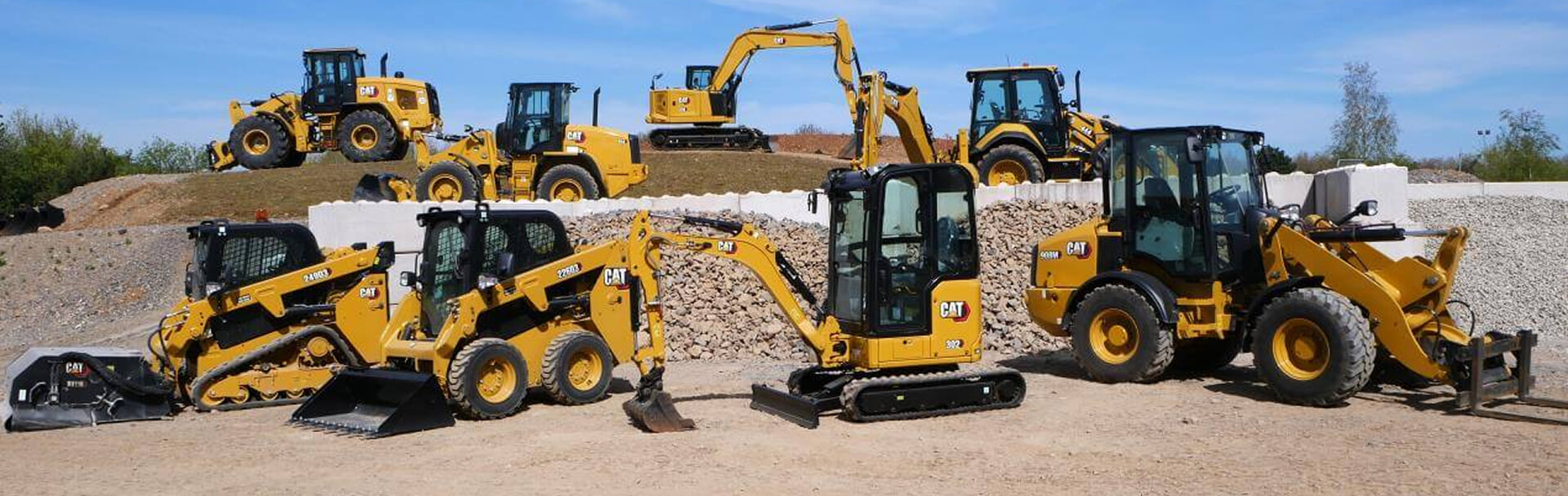 Partner cat finning hero
